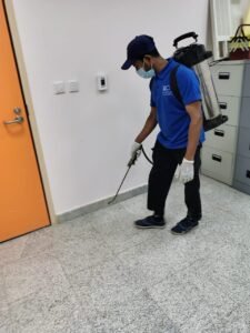 المتألق البيئي لتنسيق الحدائق (23)